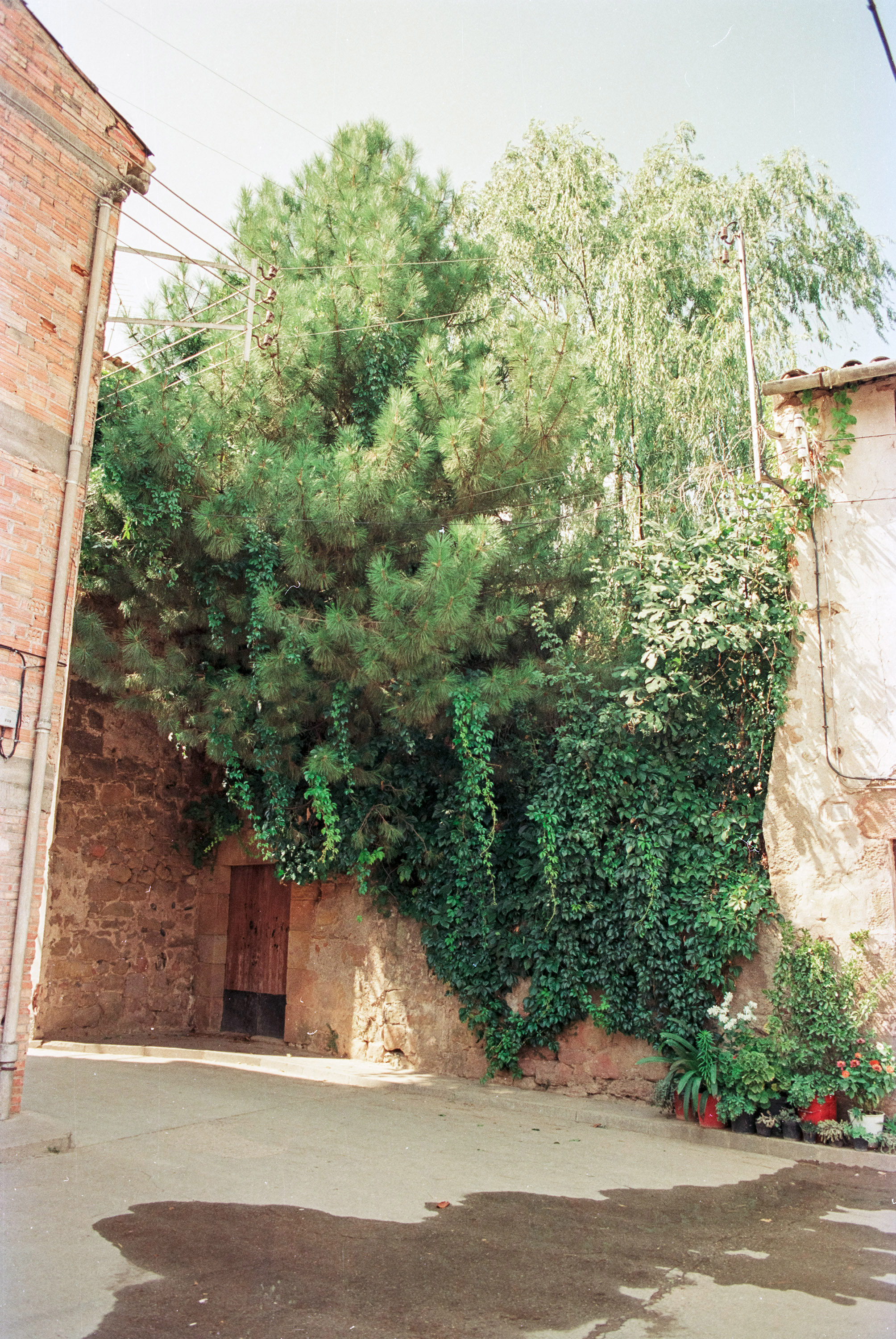 Racó de Cal Seno