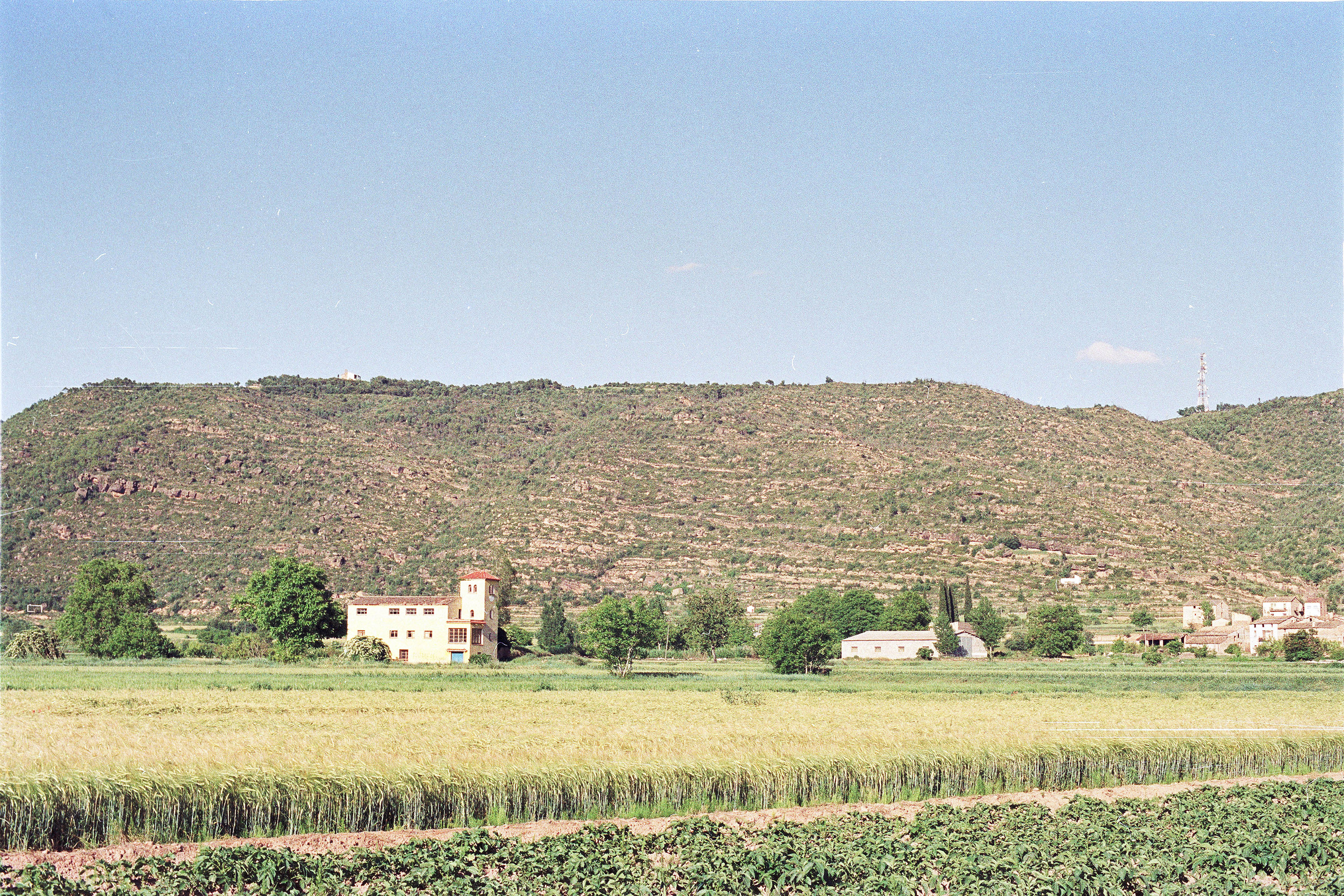 Molí